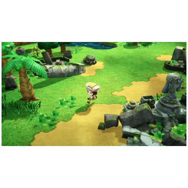 FANTASY LIFE i Switchパッケージ版 Fantasy Life i: The Girl Who Steals Time — VIDEOGAMESPLUS.CA